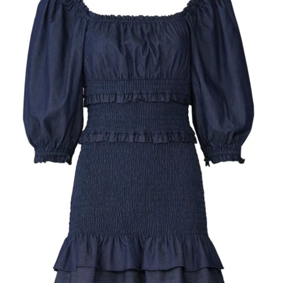 Parker Antoinette Denim Dress NWT Size S - Picture 7 of 7